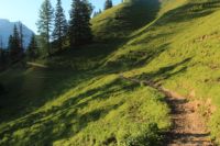 2015-07-01_2Drijaggenalm (261).JPG